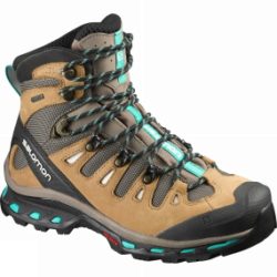 Salomon Womens Quest 4D 2 GTX Boot Shrew / Camel Gold LTR